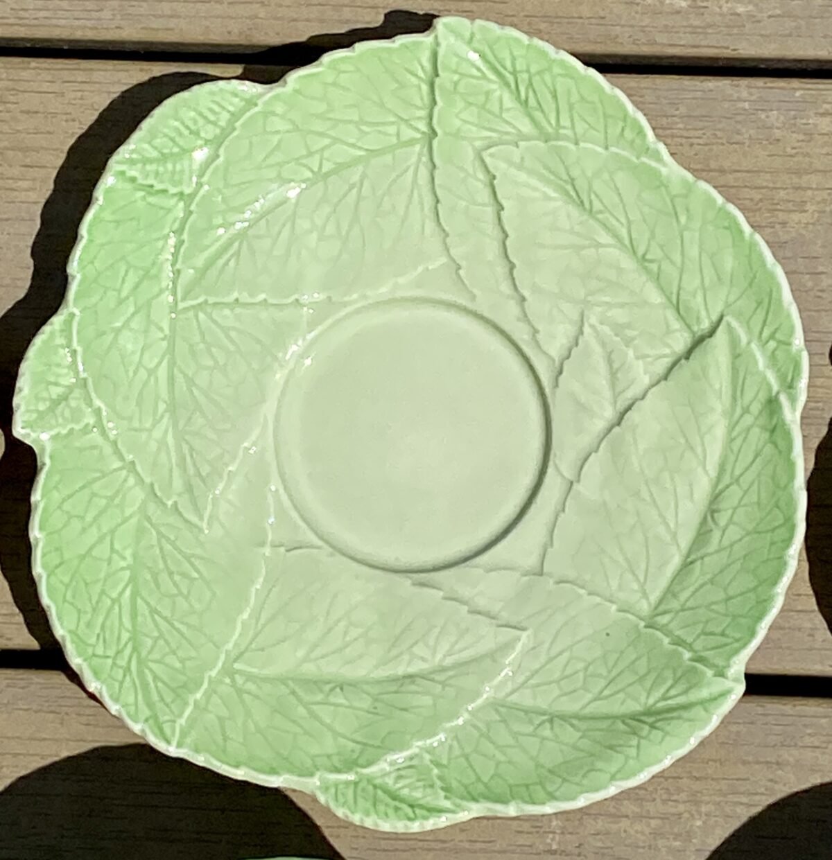 <p>Kop en schotel - CarltonWare - décor FOXGLOVE (ook wel 'Saladware' genoemd) - Australian Design</p> - Overig Engeland