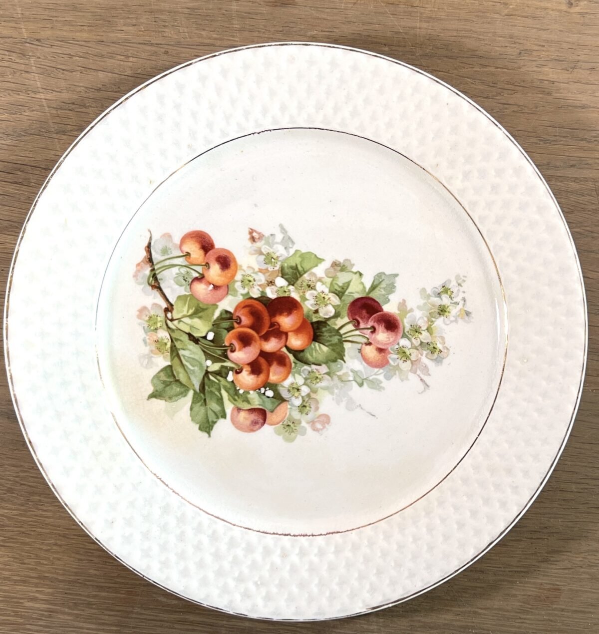 <p>Ontbijtbord / Dessertbord / Fruitbord - Societe Ceramique Maestricht - décor in verschillende soorten fruit</p> - Sociéte Céramique