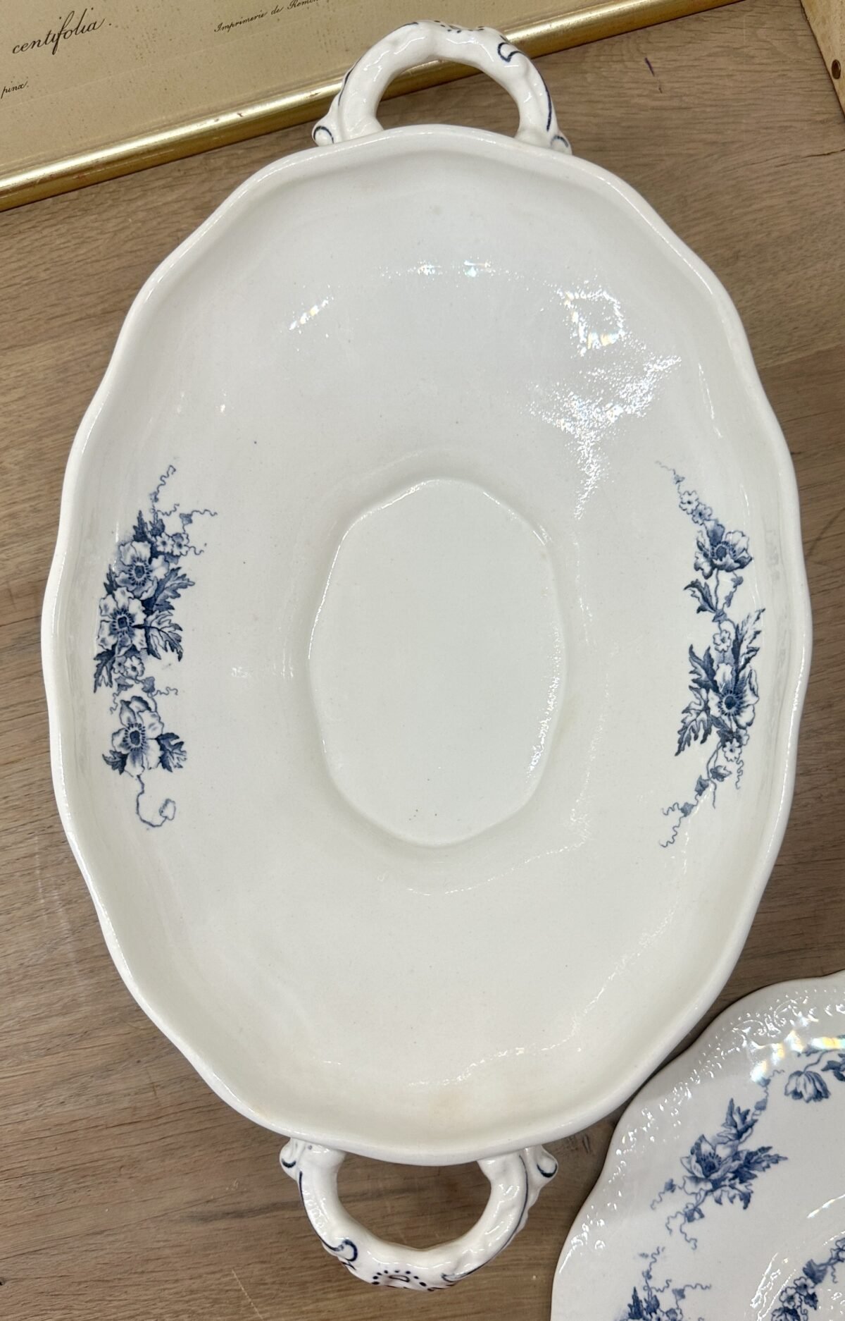<p>Terrine / Dekschaal - ovaal model - Petrus Regout - model MAASTRICHT - décor COQUELICOT in blauw</p> - Petrus Regout