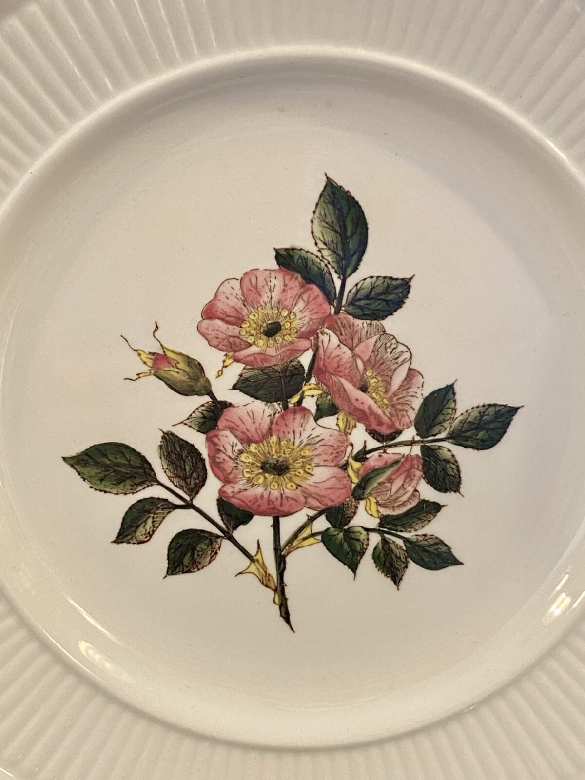 <p>Ontbijtbordje – Wedgwood – decor Briar Rose</p> - Overig Engeland